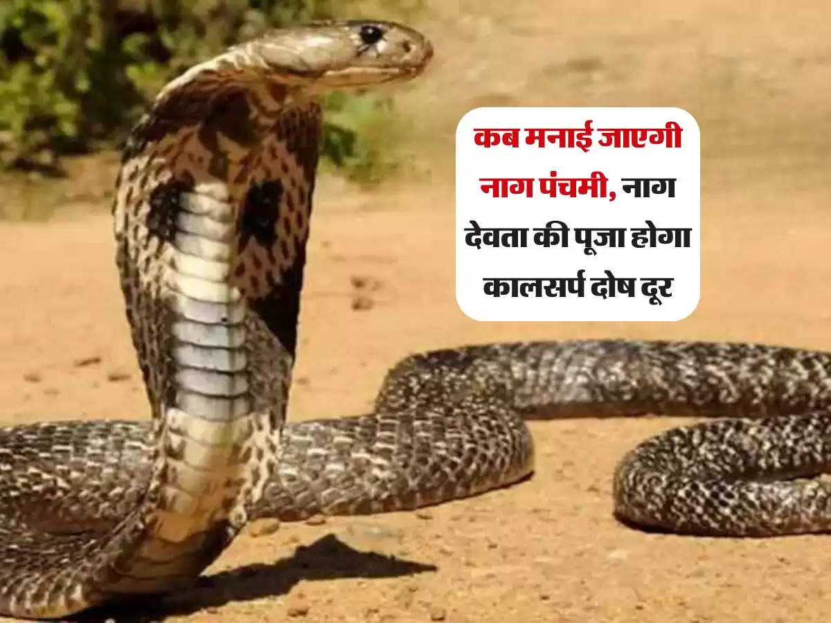 Nag Panchami: कब मनाई जाएगी नाग पंचमी, नाग देवता की पूजा होगा कालसर्प दोष दूर