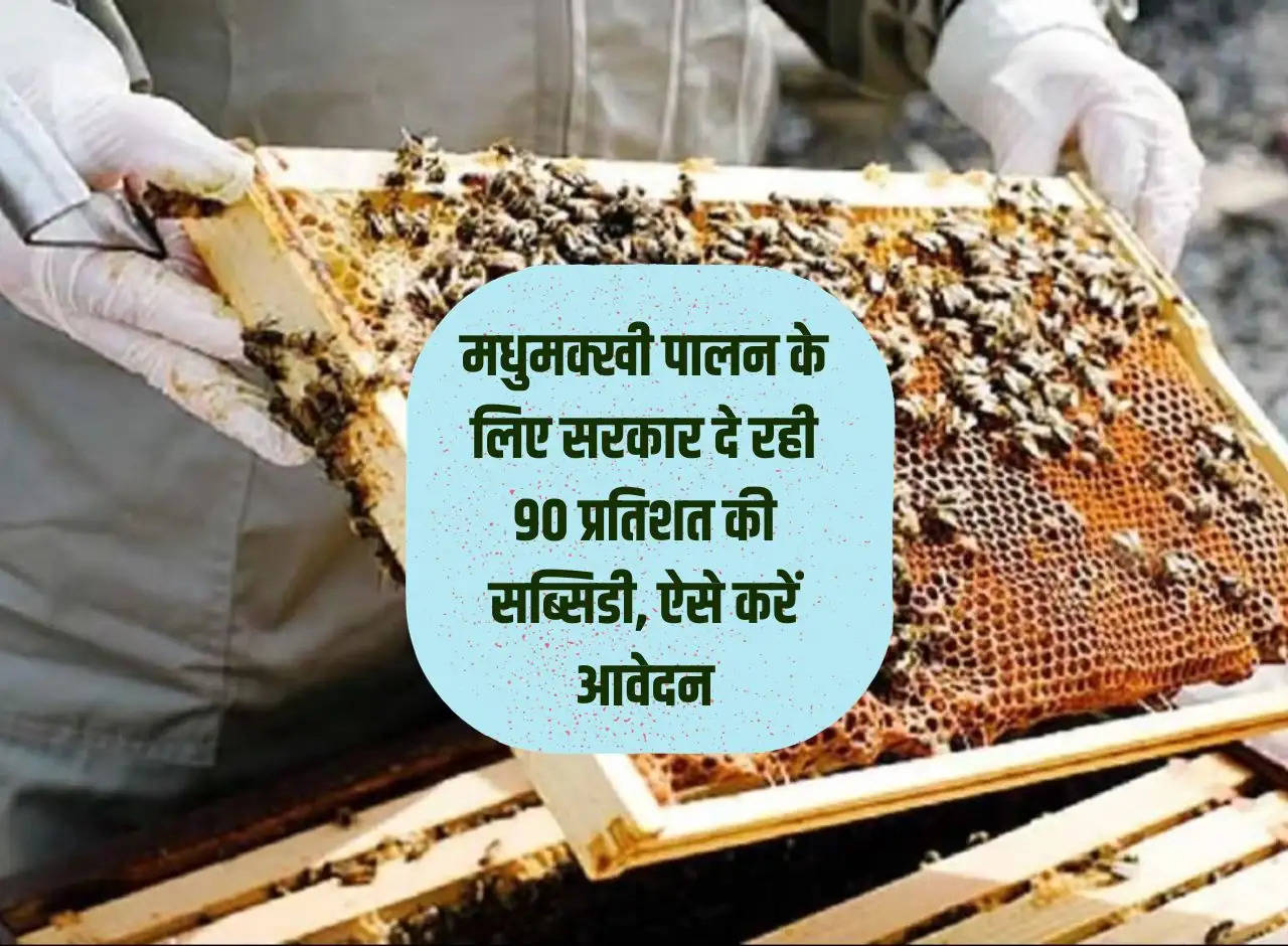 Government is giving 90 percent subsidy for beekeeping, apply like this