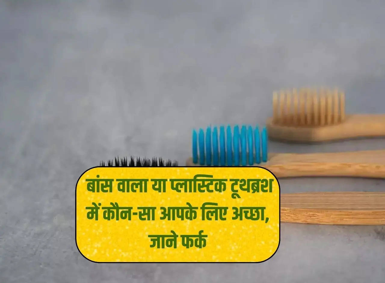 Bamboo Toothbrush: Which is better for you, bamboo or plastic toothbrush, know the difference