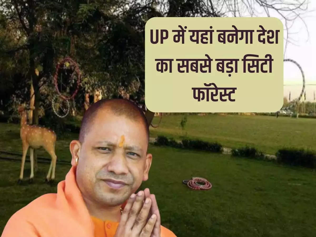 The country's largest city forest will be built here in Uttar Pradesh, will be developed on 130 hectares of land.