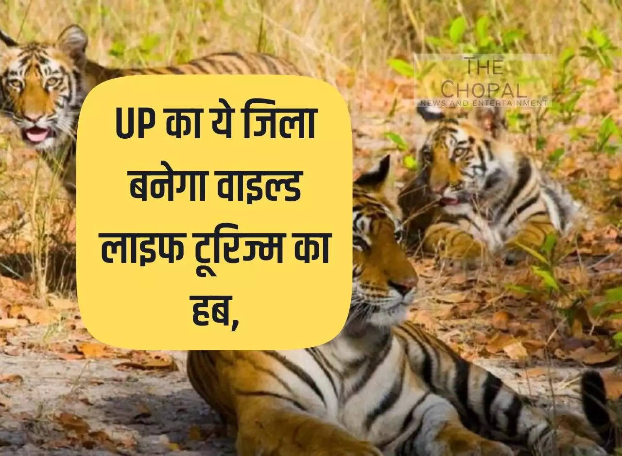 This district of Uttar Pradesh will become the hub of wildlife tourism, 529 square km. Tiger reserve will be developed in