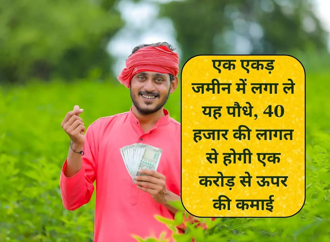 Business Tips: Plant this plant in one acre of land, at a cost of Rs 40 thousand you will earn more than Rs 1 crore.