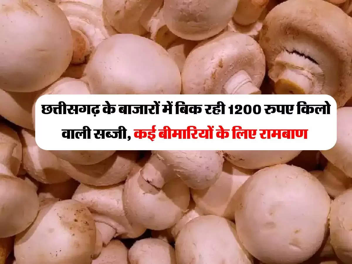 छत्तीसगढ़ के बाजारों में बिक रही 1200 रुपए किलो वाली सब्जी, कई बीमारियों के लिए रामबाण 