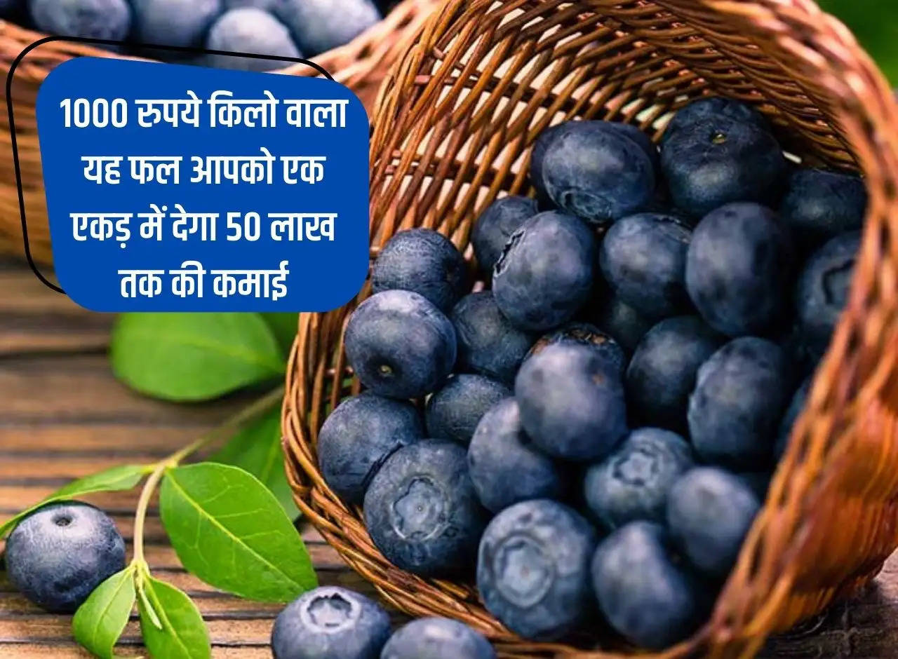 This fruit which costs Rs 1000 per kg will give you an income of up to Rs 50 lakh in one acre.