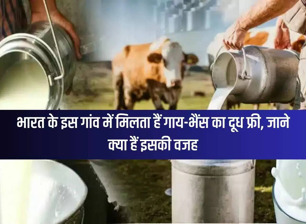 Cow-Buffalo milk is available for free in this village of India, know the reason for this