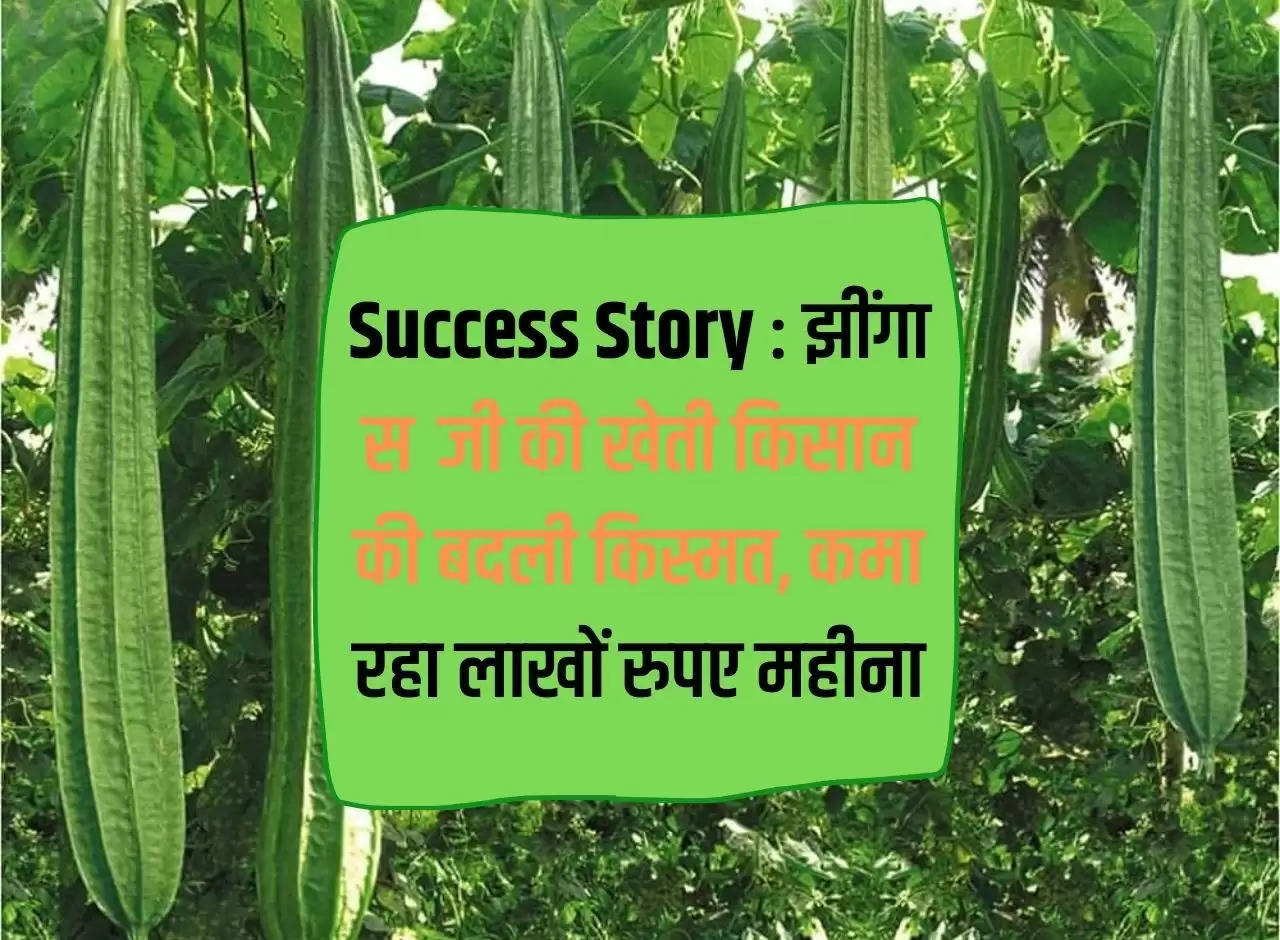 Success Story: Prawn vegetable farming farmer's luck changed, he is earning lakhs of rupees per month.