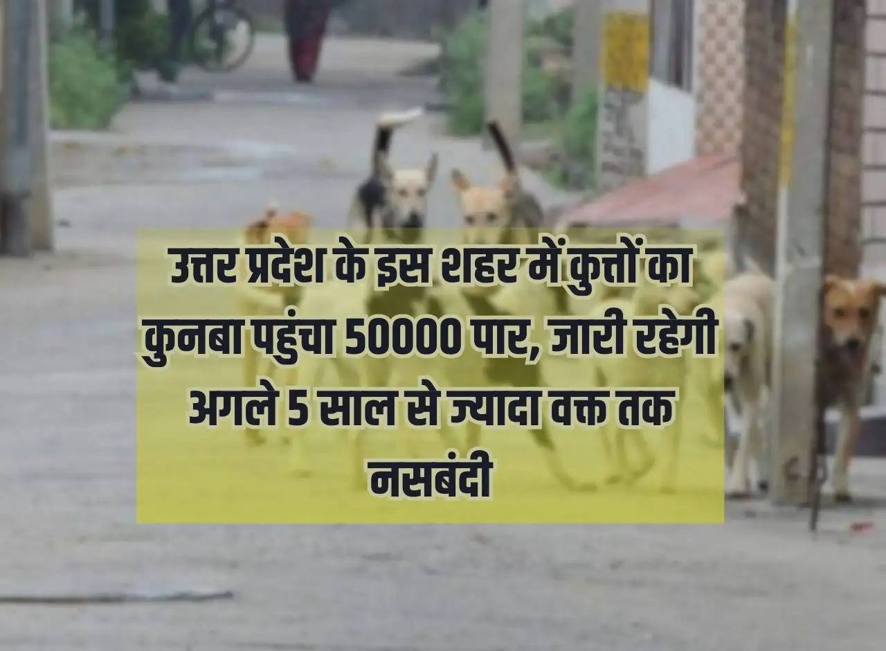 UP News: In this city of Uttar Pradesh, the number of dogs crossed 50000, sterilization will continue for more than next 5 years.