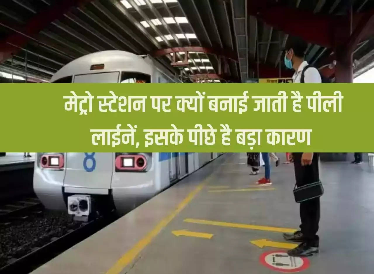 Delhi Metro: Why are yellow lines made at metro stations, there is a big reason behind it