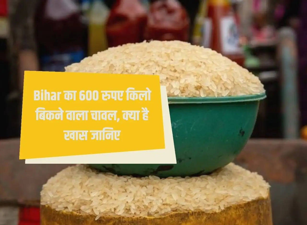 Bihar's rice is sold for Rs 600 per kg, know what is special about it