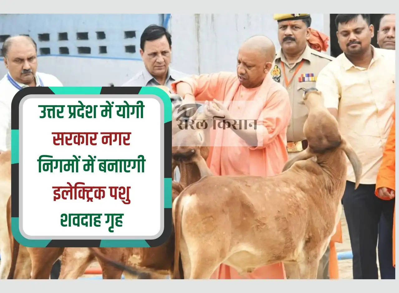 Yogi government will build electric animal crematoria in municipal corporations in Uttar Pradesh