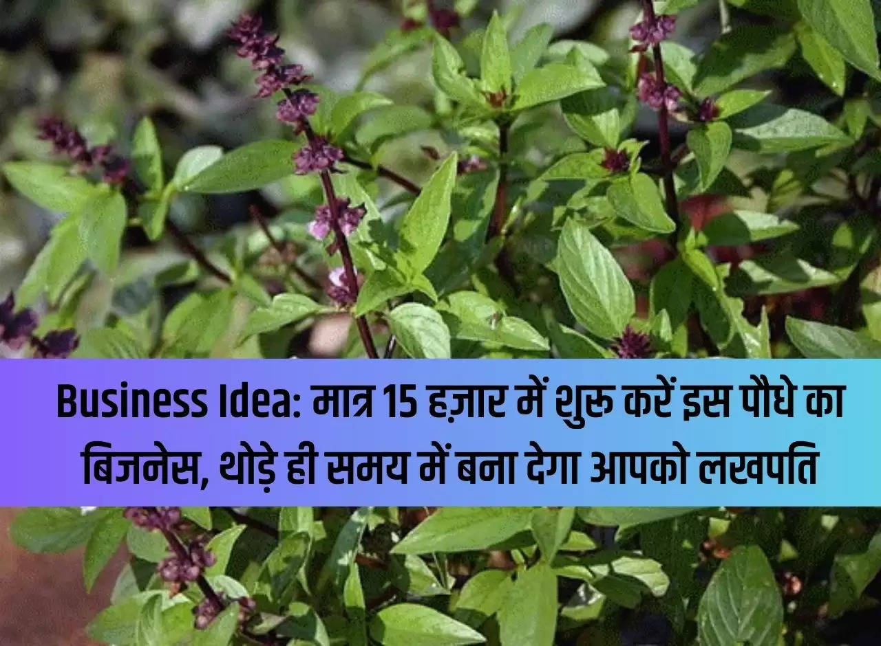 Business Idea: Start this plant business in just Rs 15 thousand, it will make you a millionaire in a short time