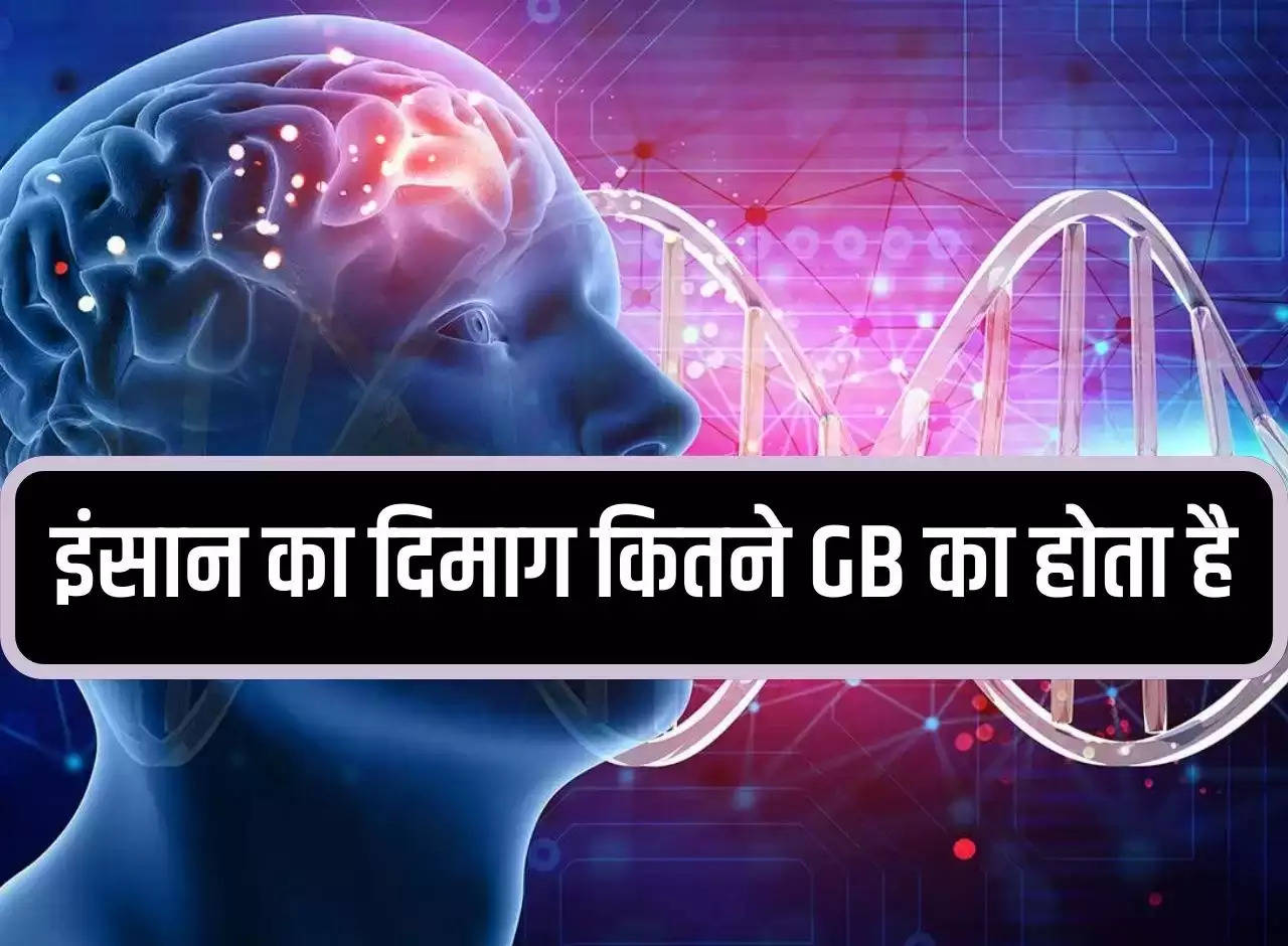 Human Brain: How many GB is the human brain, read interesting story