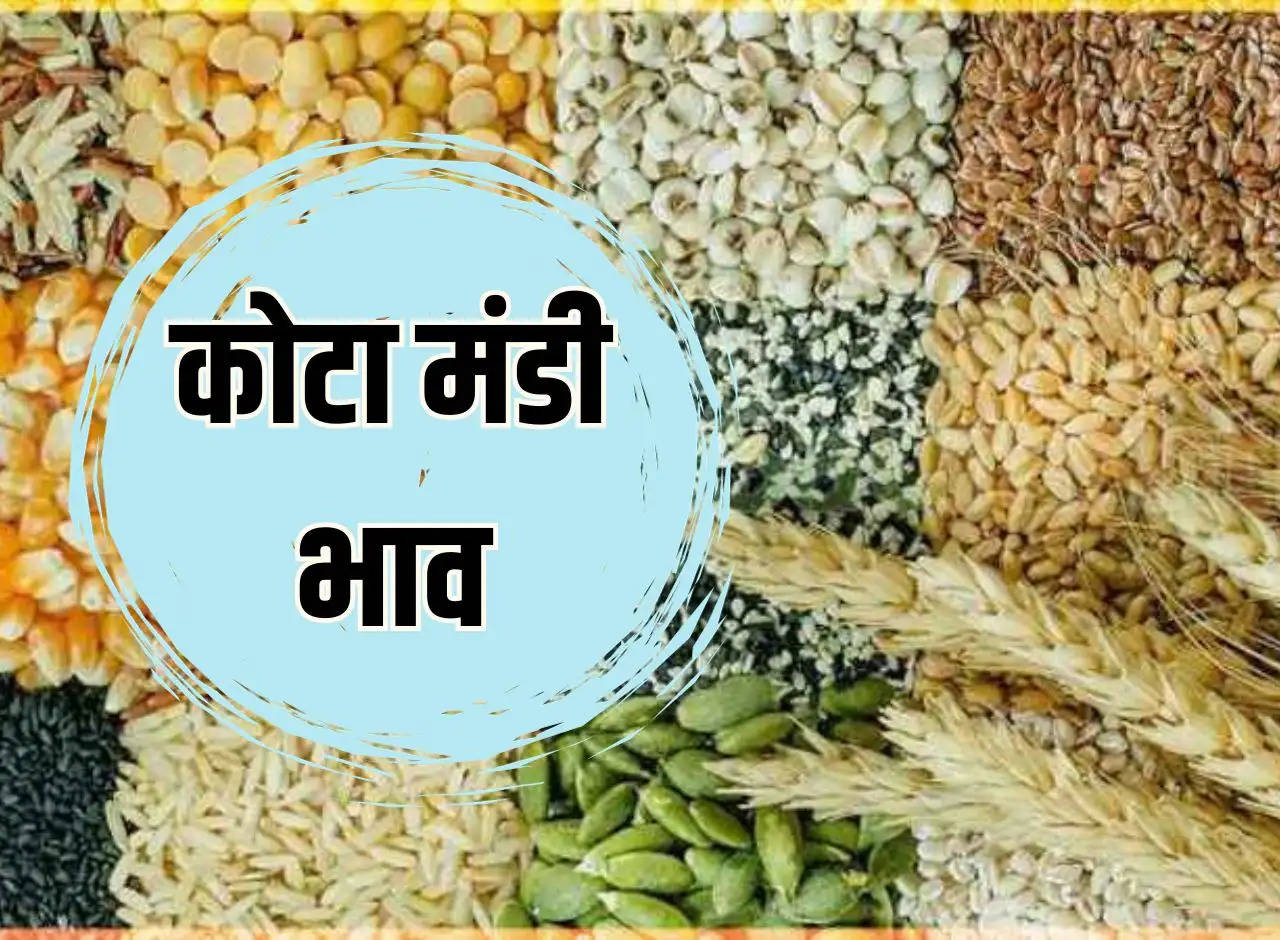 Kota Mandi Price 24 December 2023: Slowdown in these crops including soybean, mustard, rise in garlic