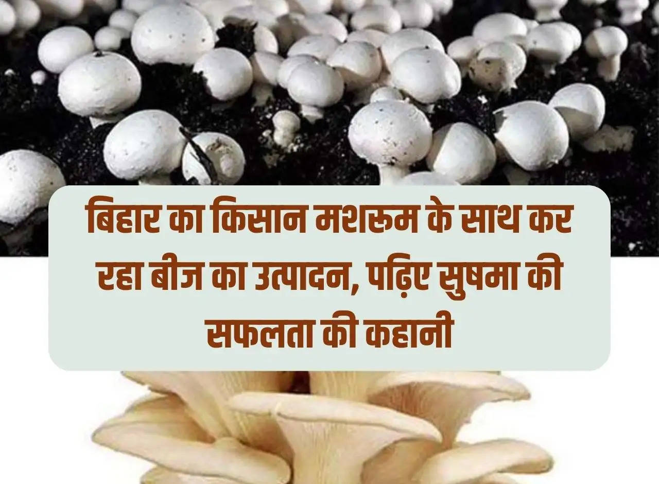 Bihar farmer is producing seeds with mushrooms, read Sushma's success story