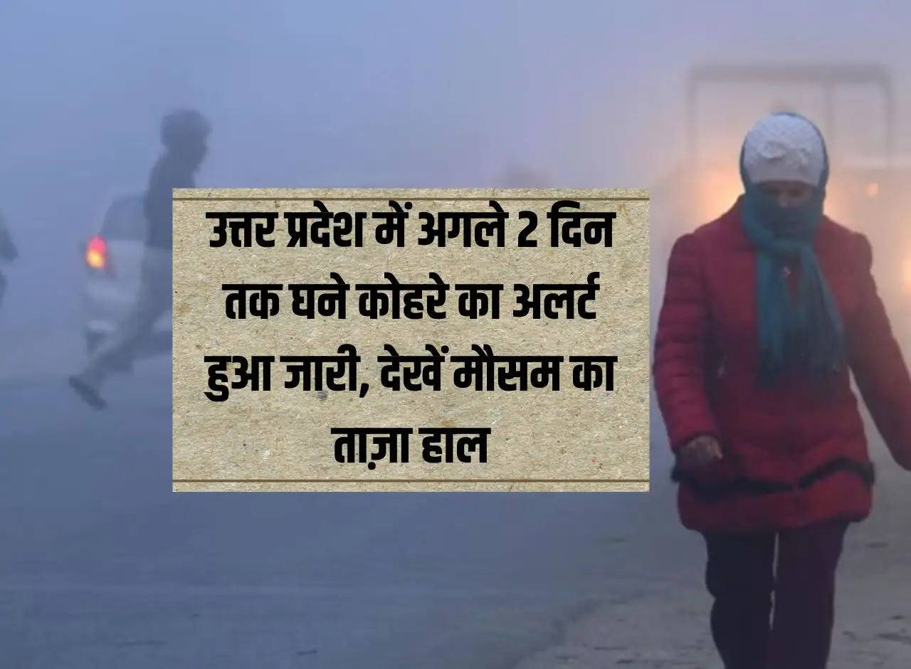 UP Weather: Dense fog alert issued for next 2 days in Uttar Pradesh, see latest weather condition