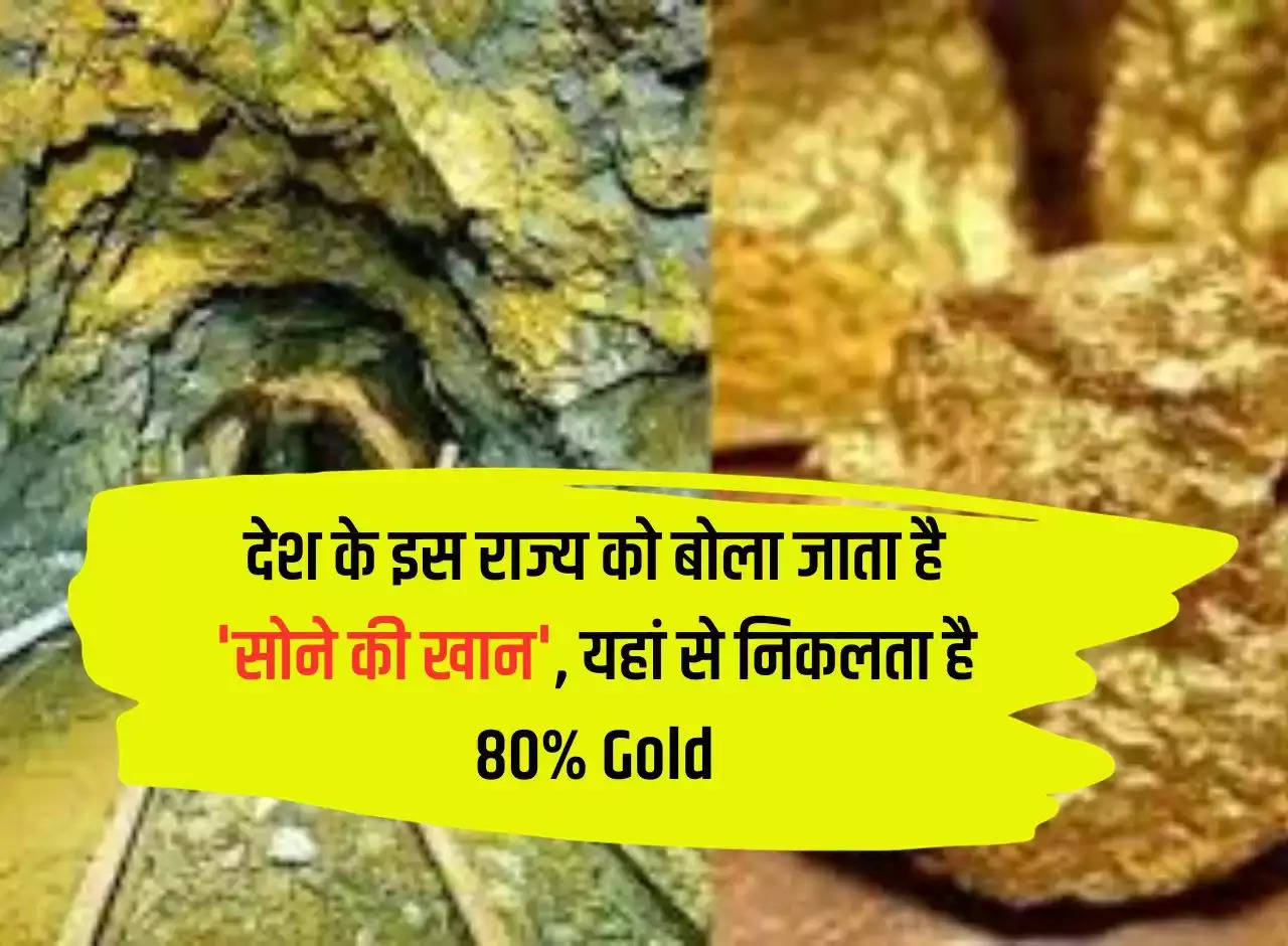 This state of the country is called 'gold mine', 80% gold comes from here.