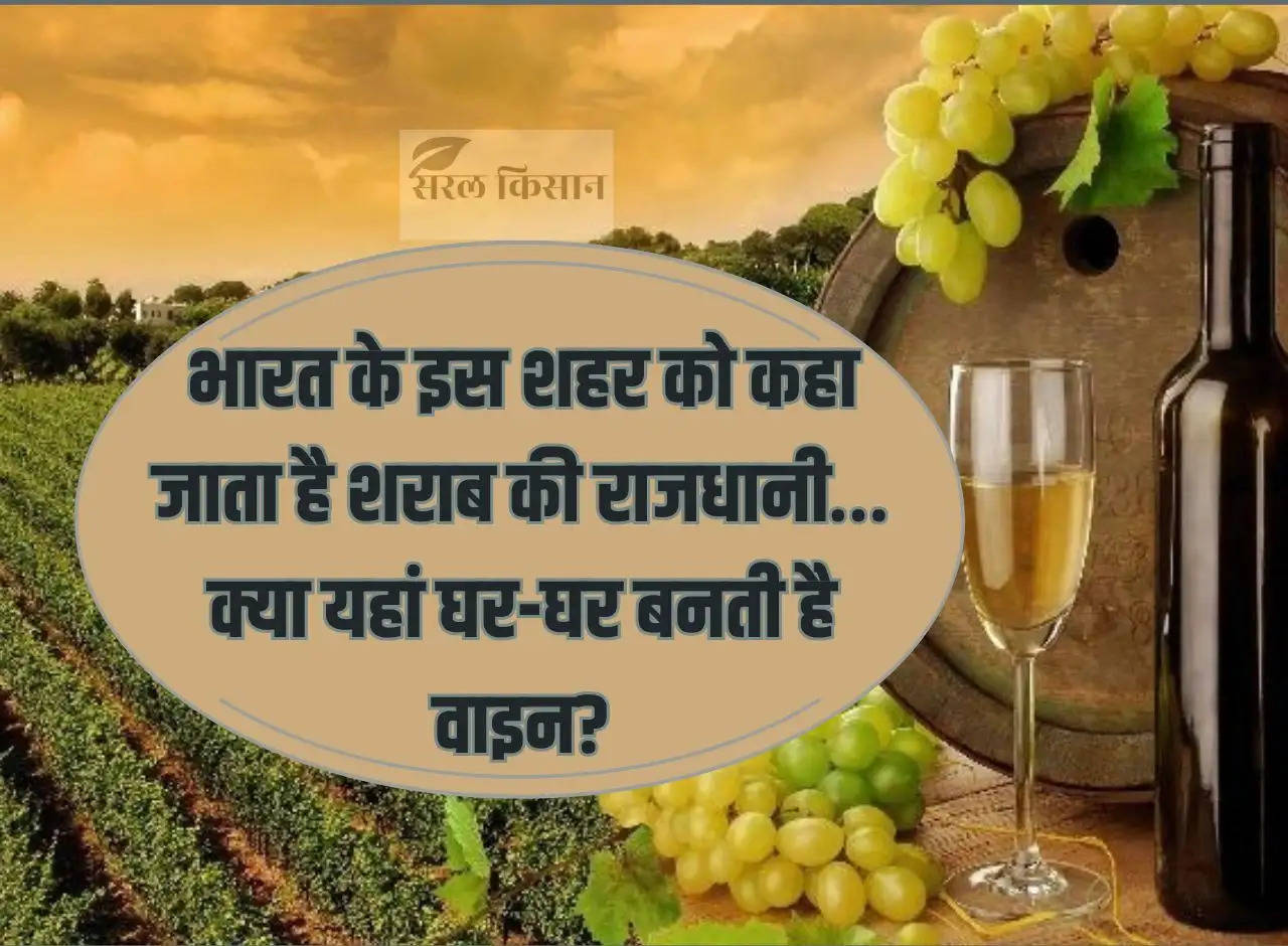 This city of India is called the wine capital… Is wine made in every home here?