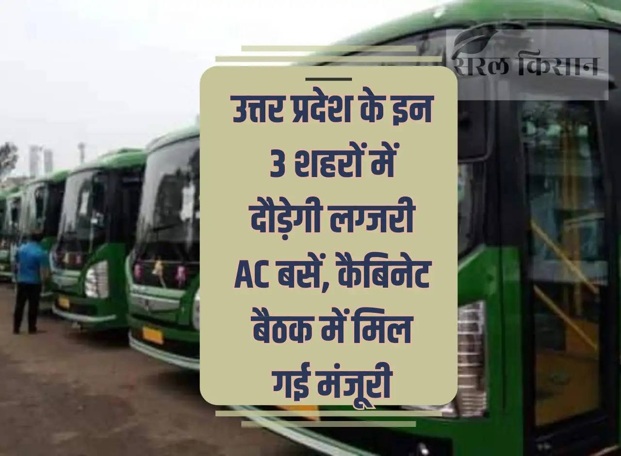 Luxury AC buses will run in these 3 cities of Uttar Pradesh, approval given in the cabinet meeting