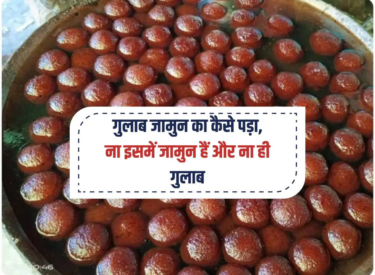 Interesting Tips: How did Gulab Jamun come to be, there are neither berries nor roses in it