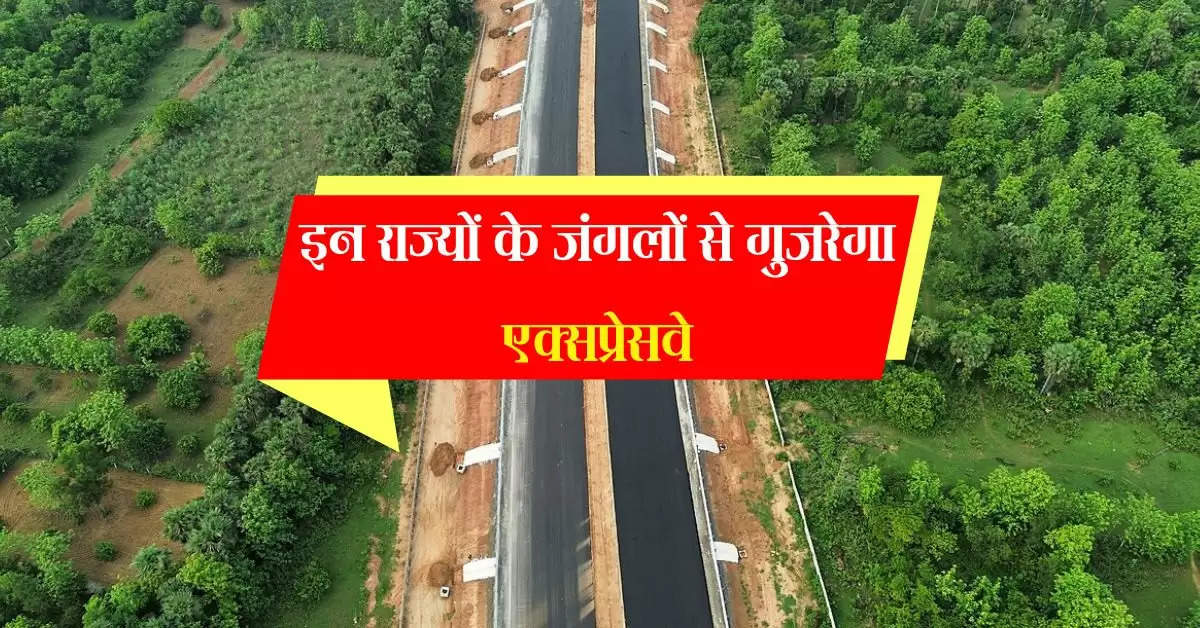 Expressway: इन राज्यों के जंगलों से गुजरेगा एक्सप्रेसवे, 7 घंटे बचेगा सफर का समय