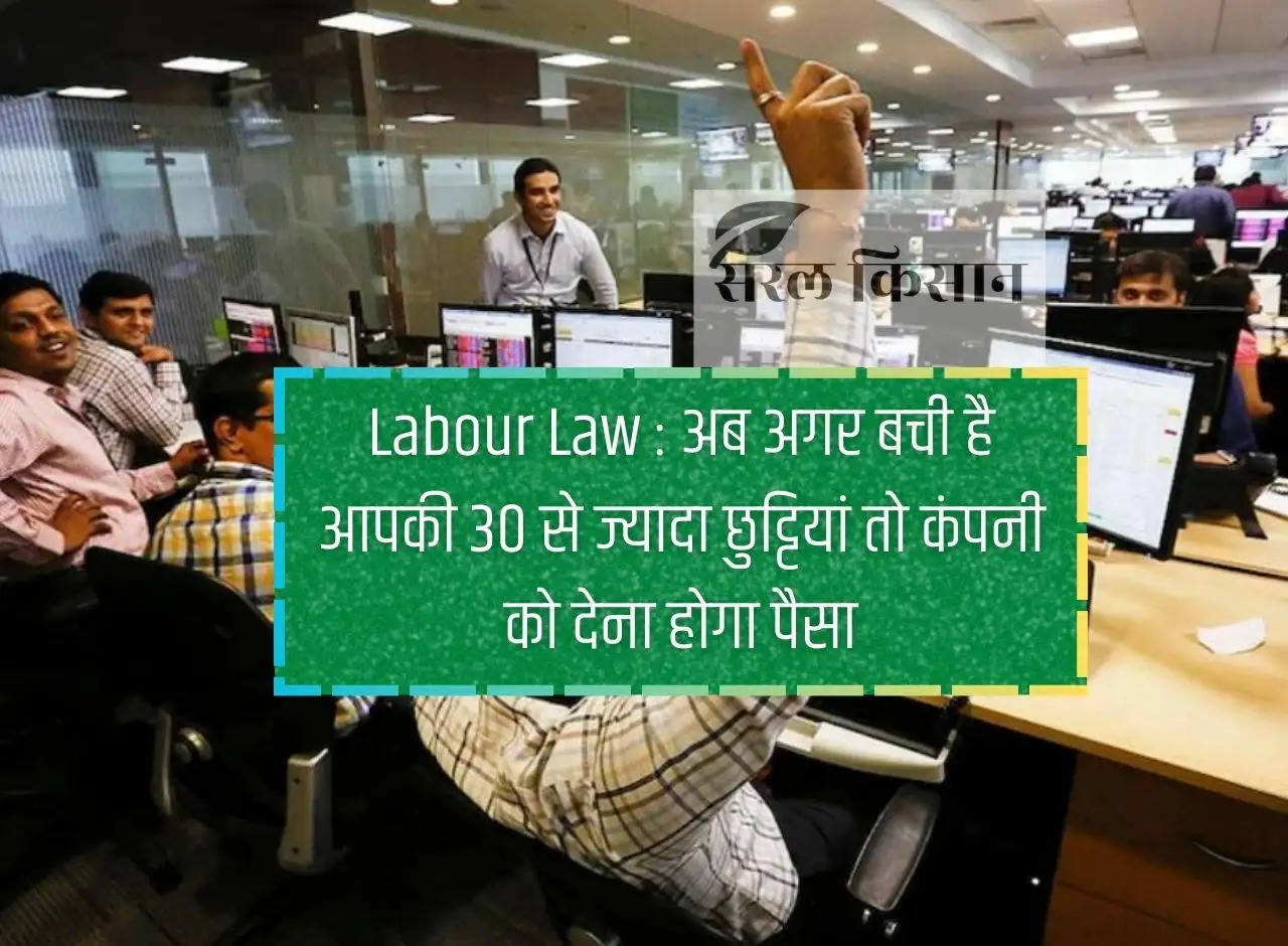 Labor Law: Now if you have more than 30 holidays left then the company will have to pay money