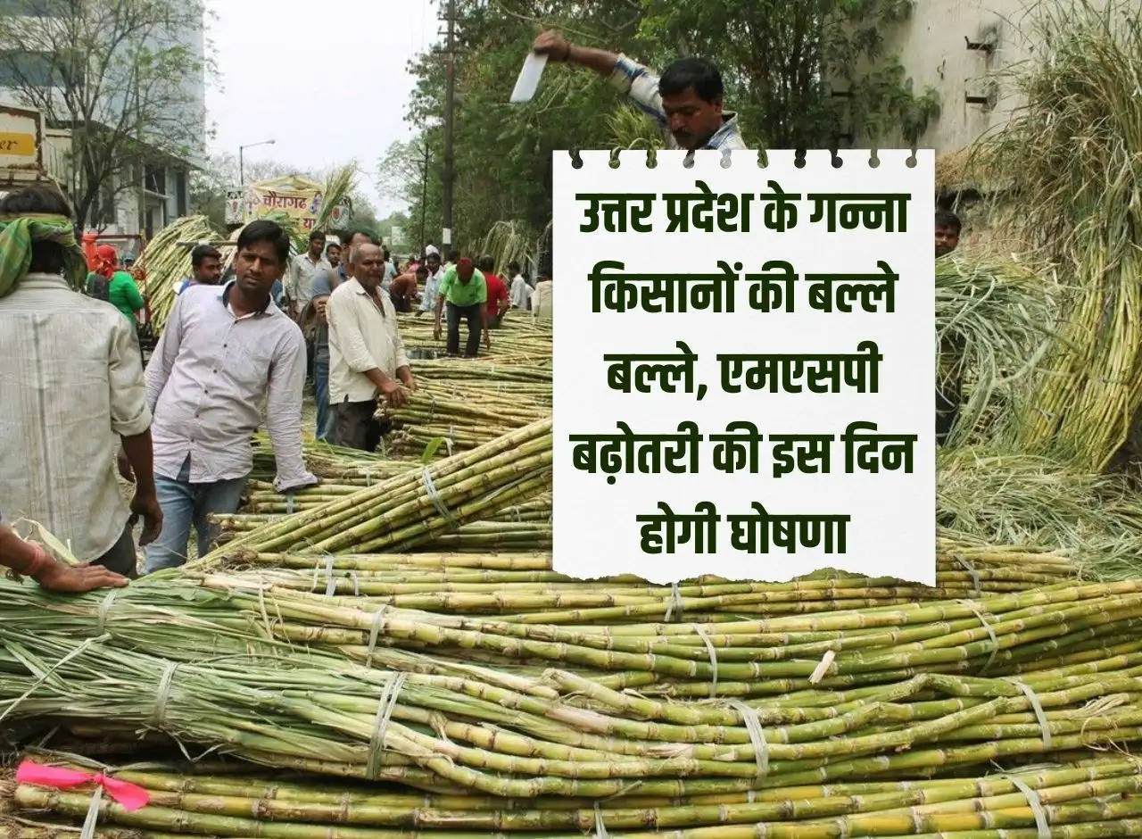 Sugarcane farmers of Uttar Pradesh are worried, MSP increase will be announced on this day