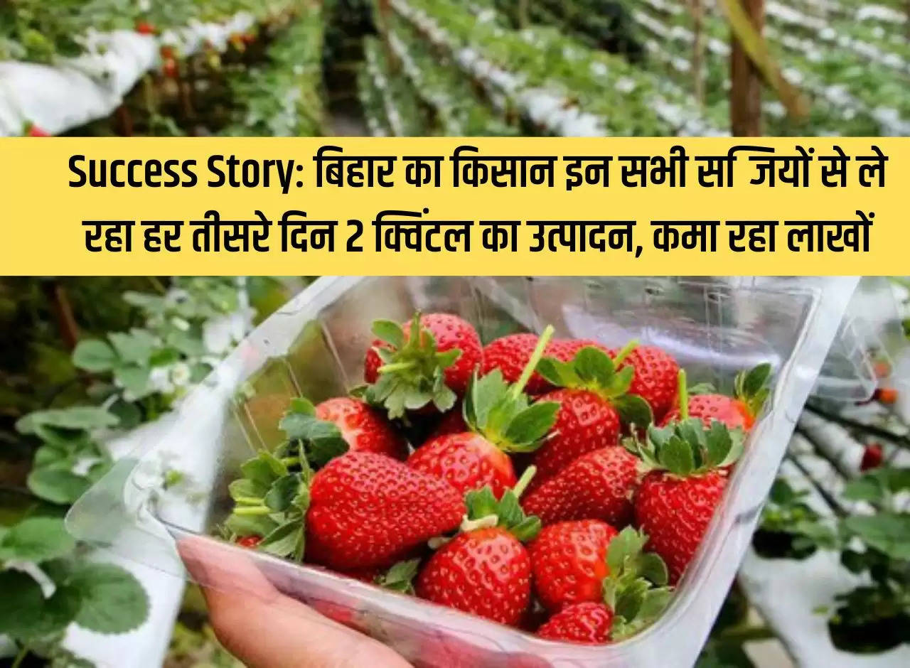 Success Story: Farmer of Bihar is producing 2 quintals every third day from all these vegetables, earning lakhs