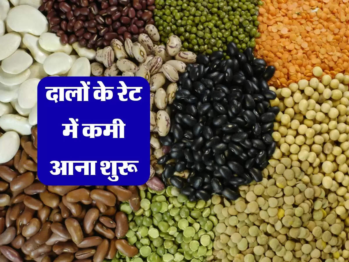 Pulses prices: दालों के रेट में कमी आना शुरू, 30 दिनों में इतने कम हुए भाव