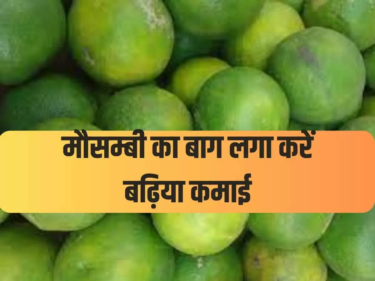 मॉसम्बी 