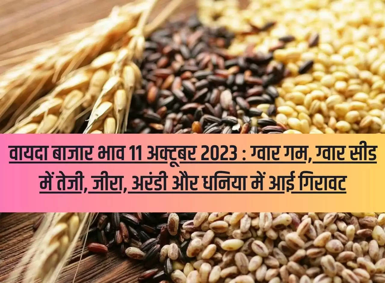 Futures market price 11 October 2023: Increase in guar gum, guar seed, decline in cumin, castor and coriander.