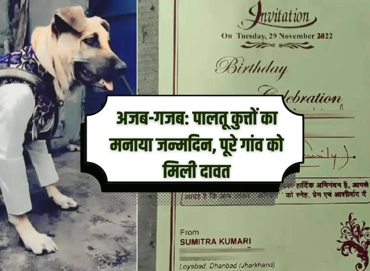 Strange: Pet dog's birthday celebrated, entire village got a treat