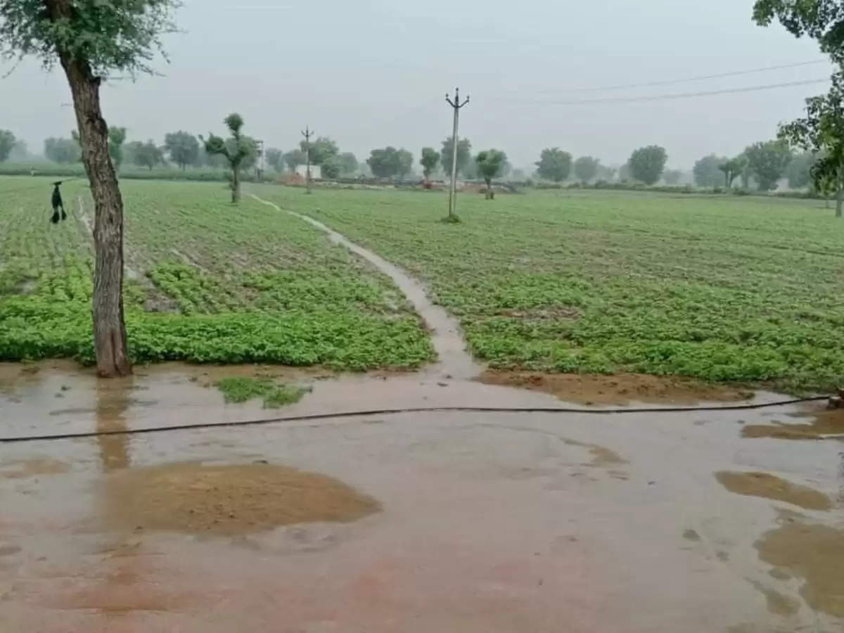 Haryana Weather: प्रदेश के 14 जिलों में रिमझिम बरसेंगे मेघ, किसान फसलों में पानी निकासी का रखें प्रबंध