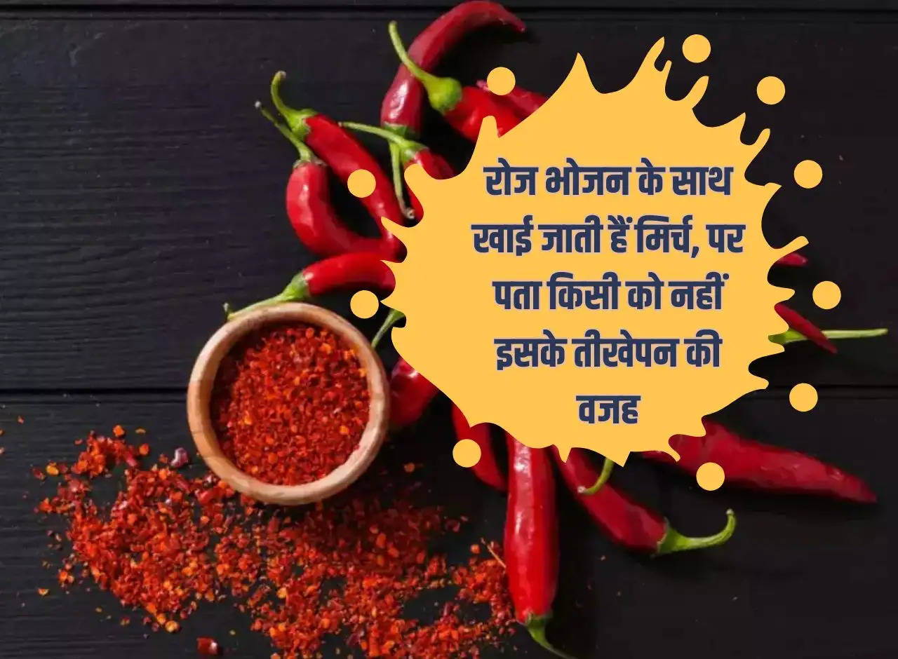 Chillies are eaten daily with food, but no one knows the reason for its spiciness.