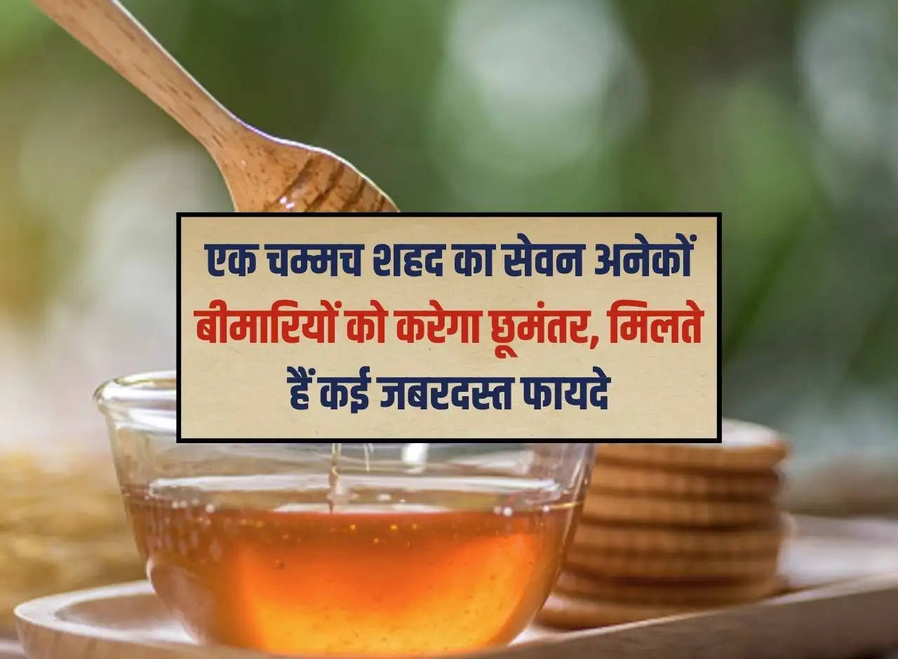 Consuming one spoon of honey will cure many diseases, you get many tremendous benefits.