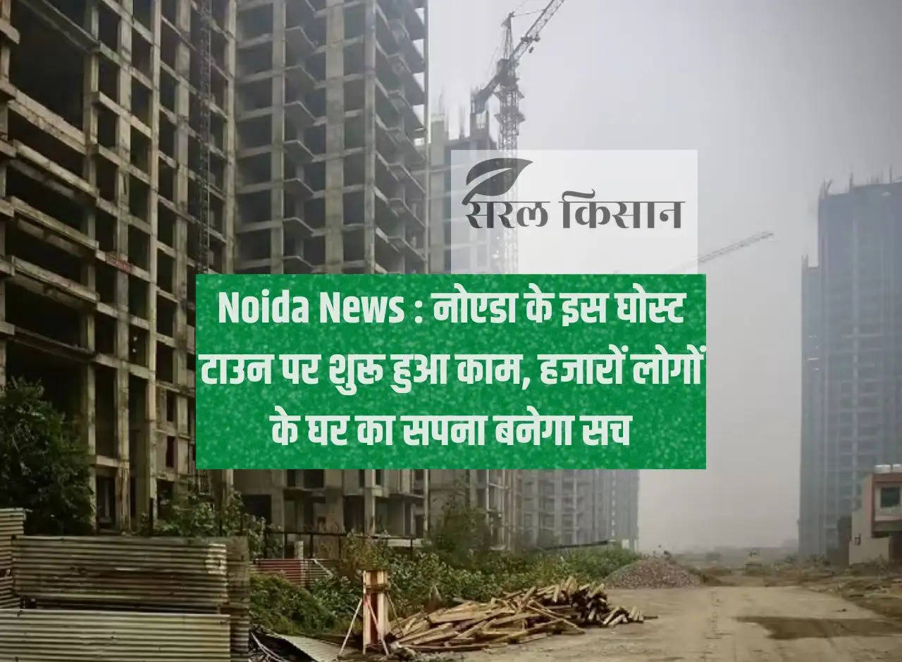 Noida News: Work started on this ghost town of Noida, the dream of thousands of people's house will come true.