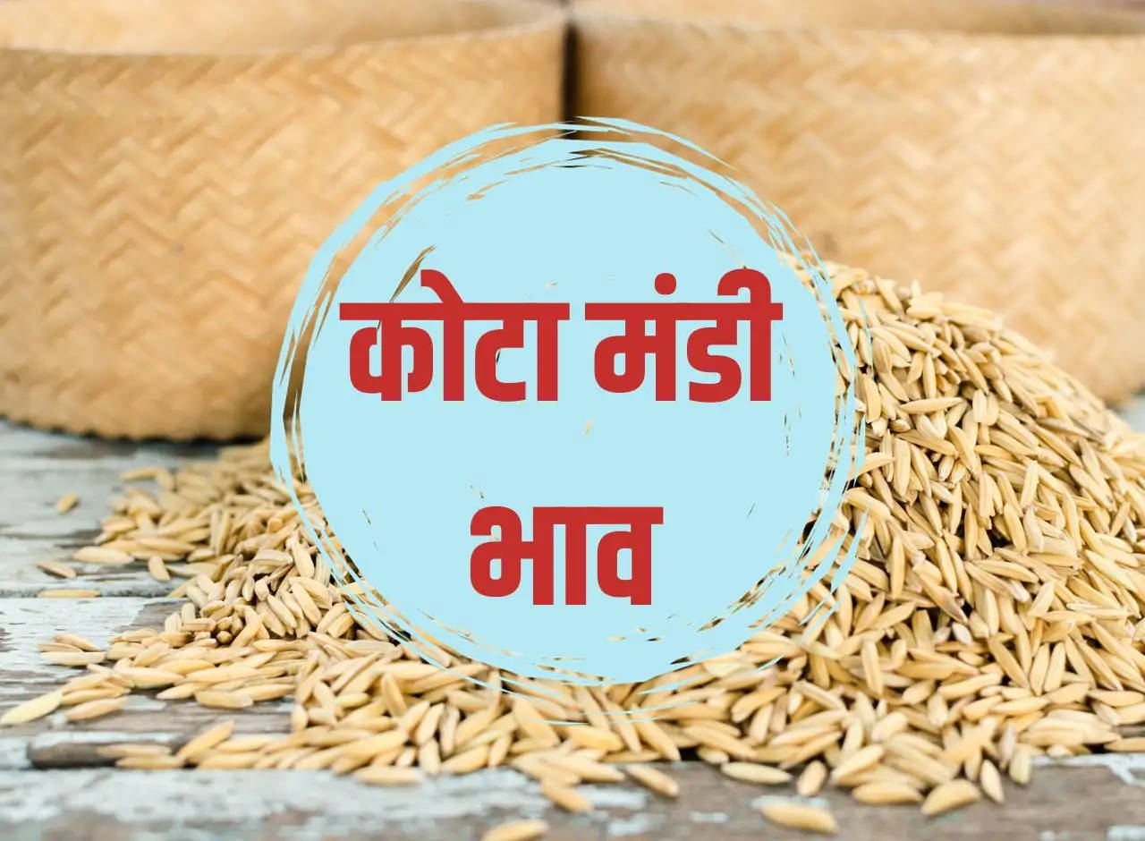 Kota Mandi bhav 6 January 2024: Increase in the price of paddy, know the prices of all other crops