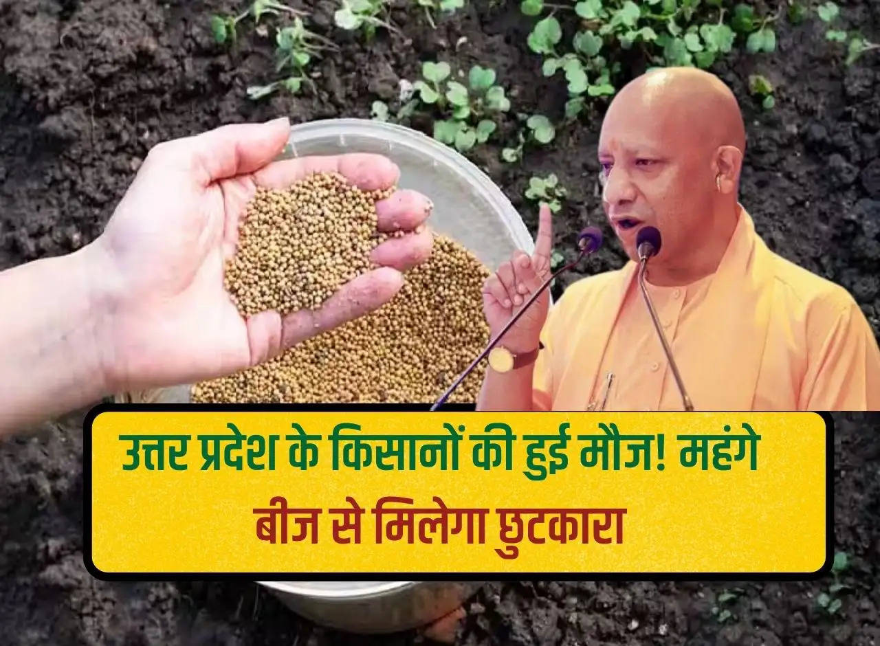 Farmers of Uttar Pradesh had fun! Will get rid of expensive seeds