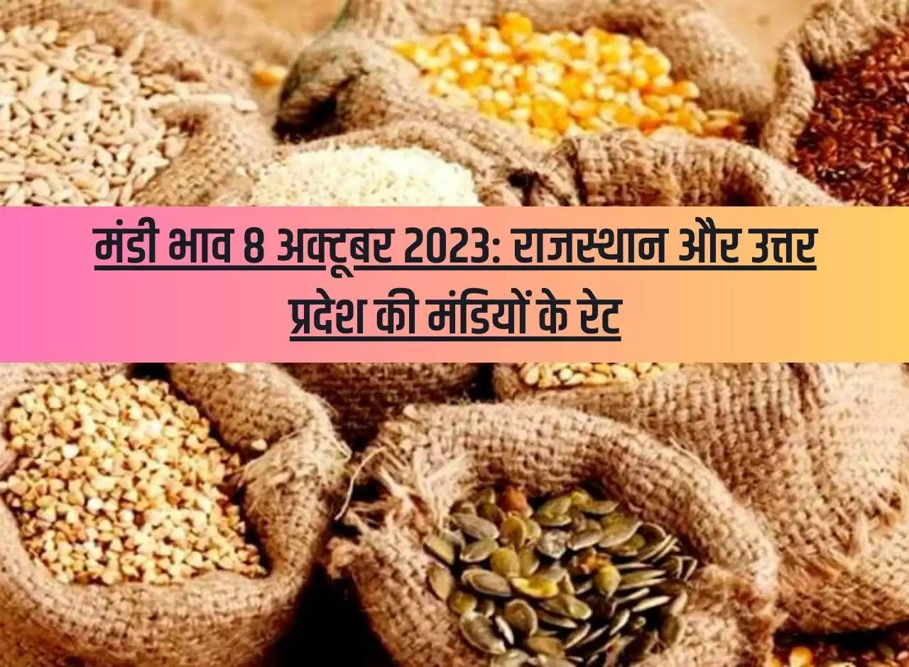 Mandi price 8 October 2023: Mandi rates of Rajasthan and Uttar Pradesh