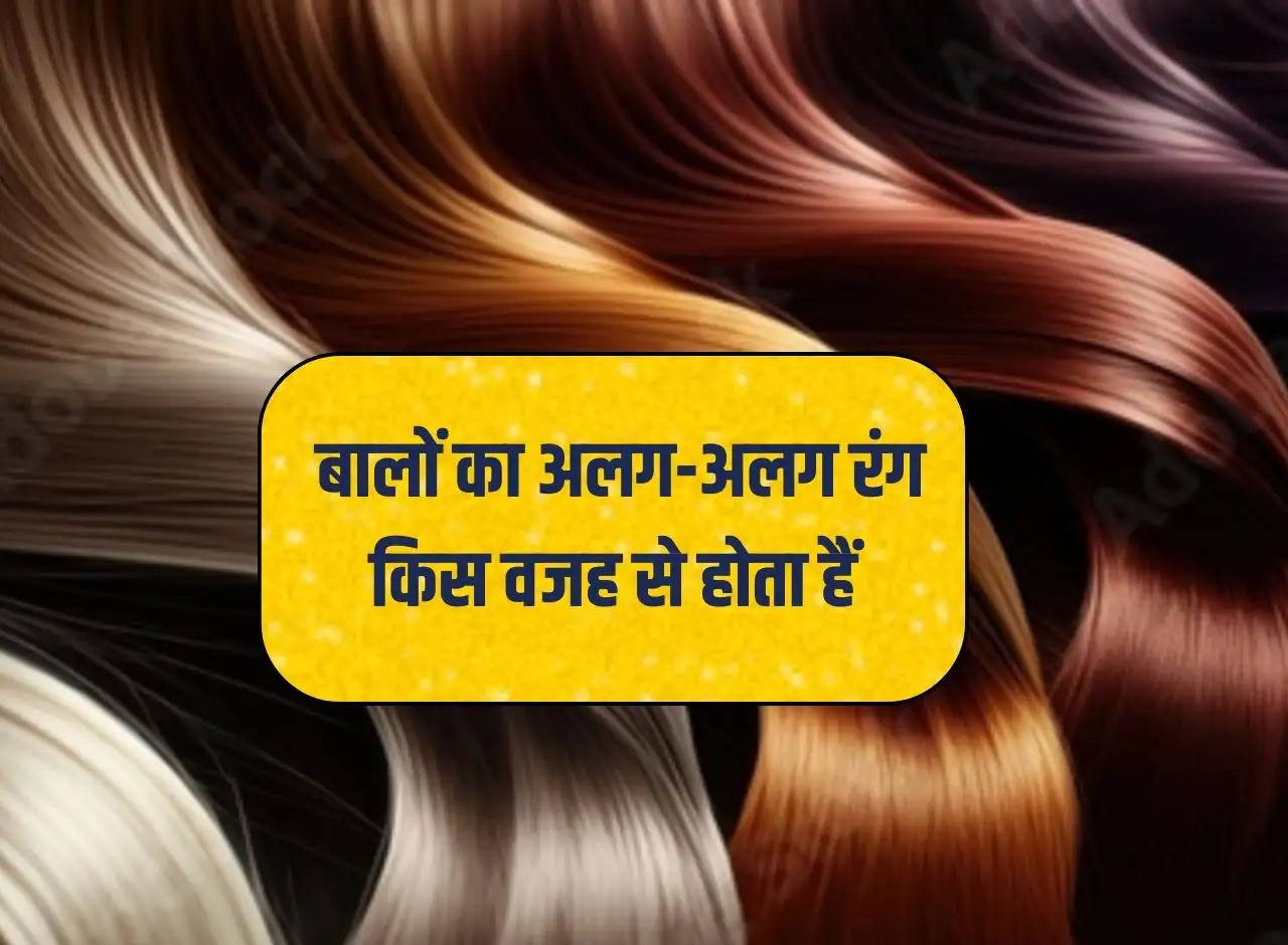 Hair Colour: What causes different hair colors?