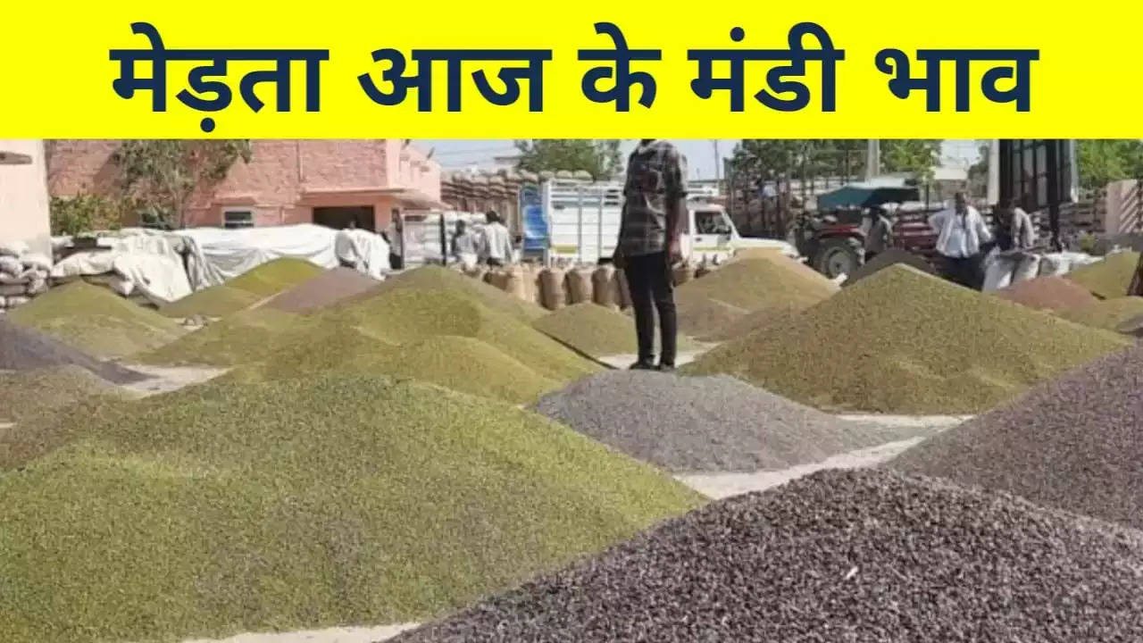 Merta Mandi Price 19 December 2023: Taramira, Asalia, Moong, Chana, Suva, Cumin, Guar, Isabgol