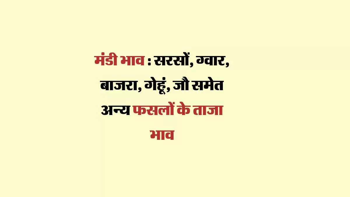 मंडी भाव 22 अगस्त 2024 : सरसों, ग्वार, बाजरा, गेहूं, जौ समेत अन्य फसलों के ताजा भाव