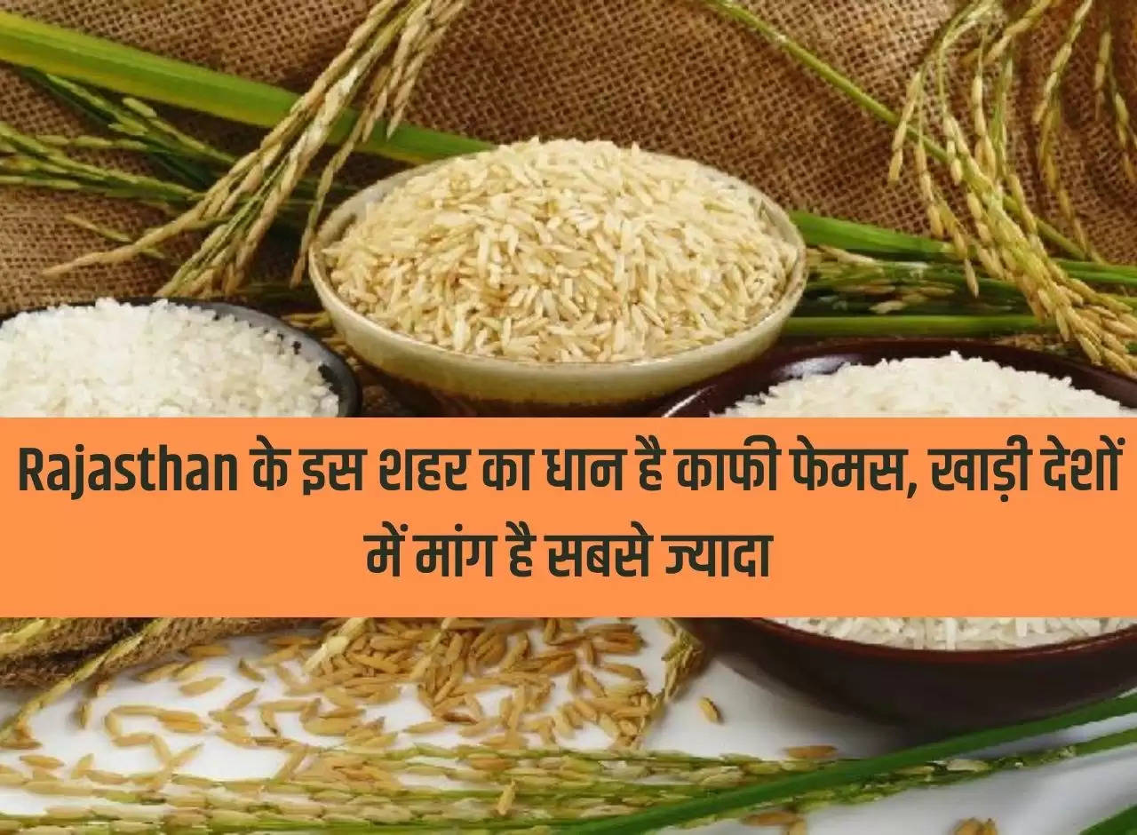 Paddy from this city of Rajasthan is quite famous, demand is highest in Gulf countries