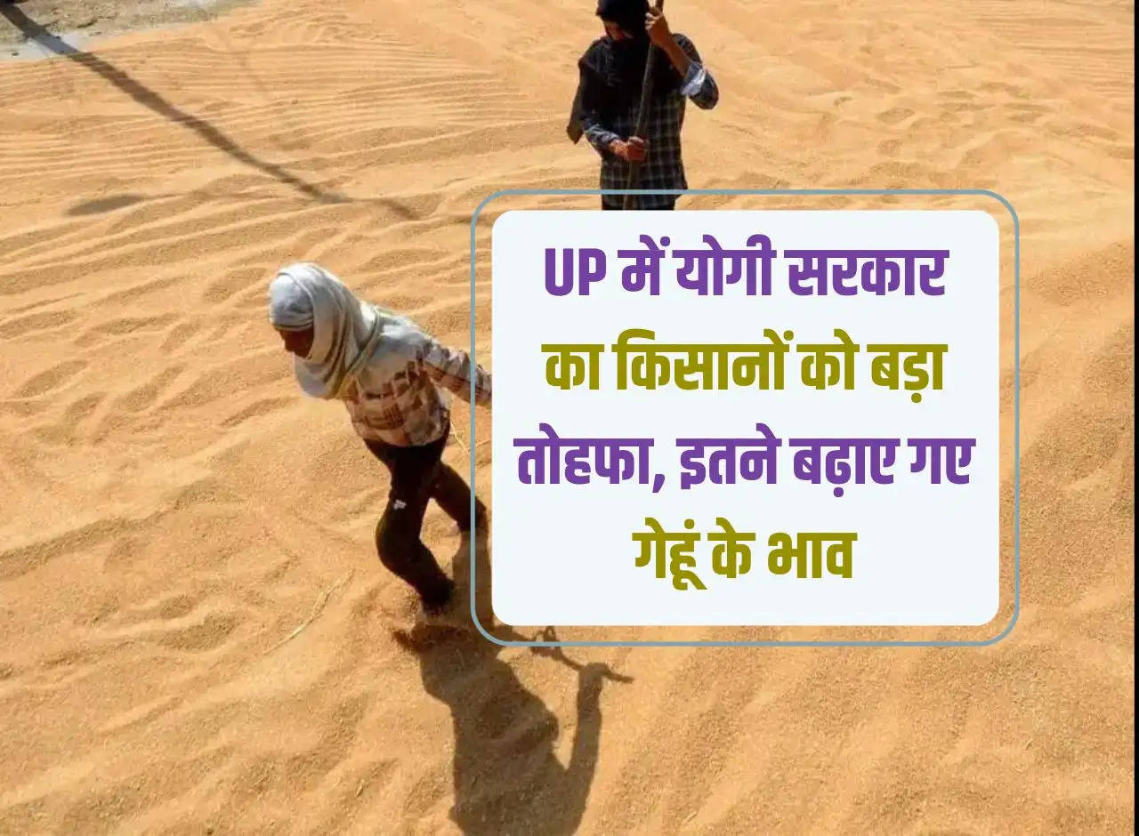 Big field for farmers of Yogi government in UP, prices of three balls confirmed