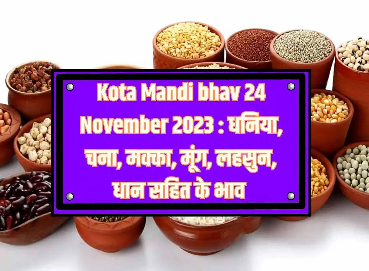 Kota Mandi bhav 24 November 2023: Prices of coriander, gram, maize, moong, garlic, paddy including