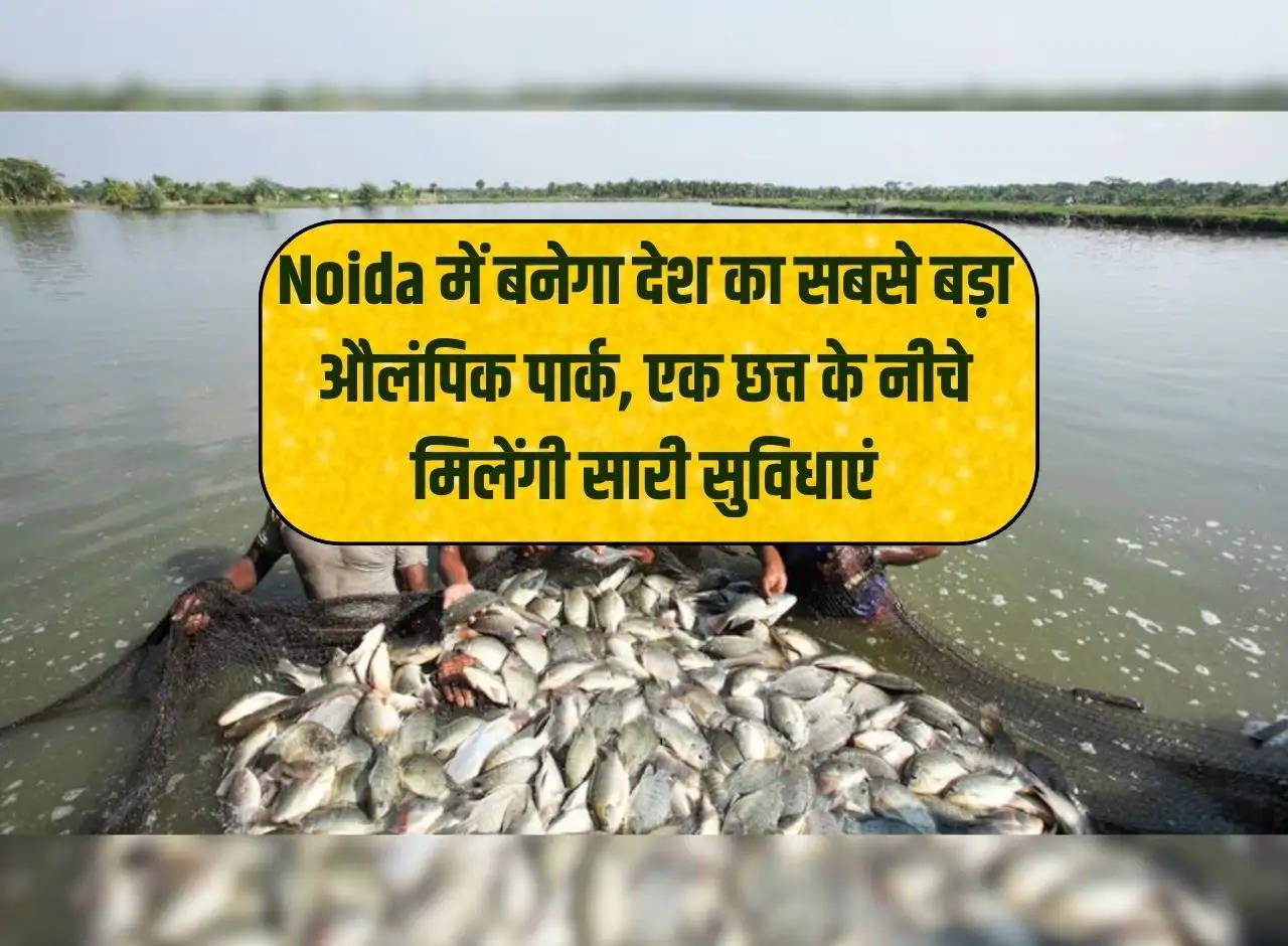 Business Ideas: Start this fish farming business in Rs 25 thousand, you will earn this much in one year