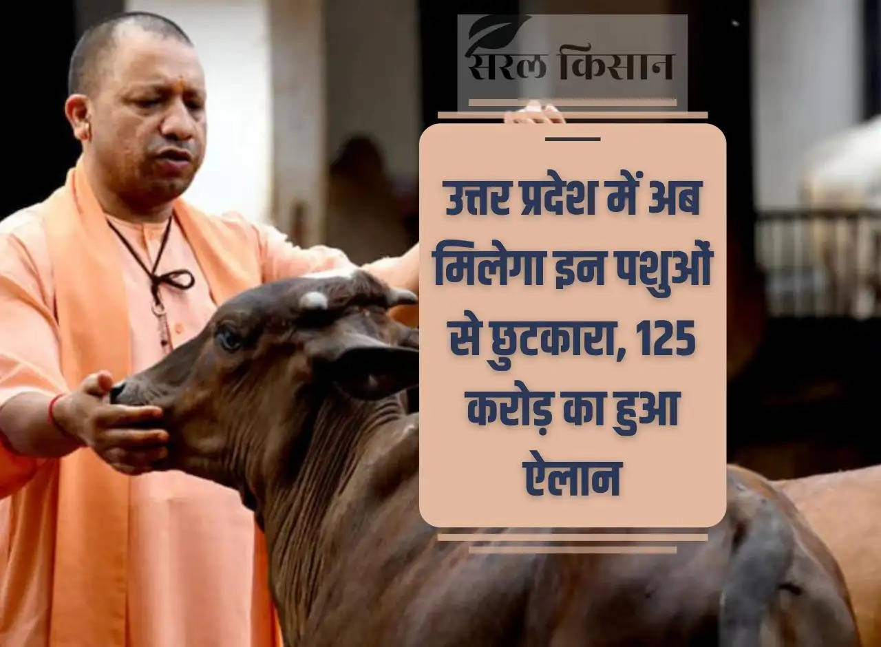 Uttar Pradesh will now get rid of these animals, Rs 125 crore announced