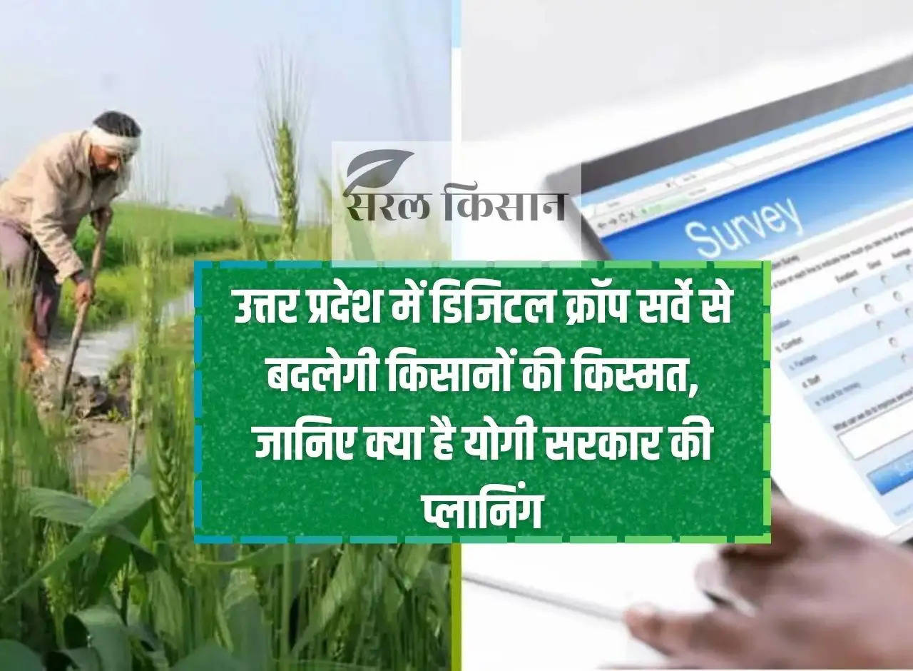 Digital crop survey will change the fate of farmers in Uttar Pradesh, know what is the planning of Yogi government