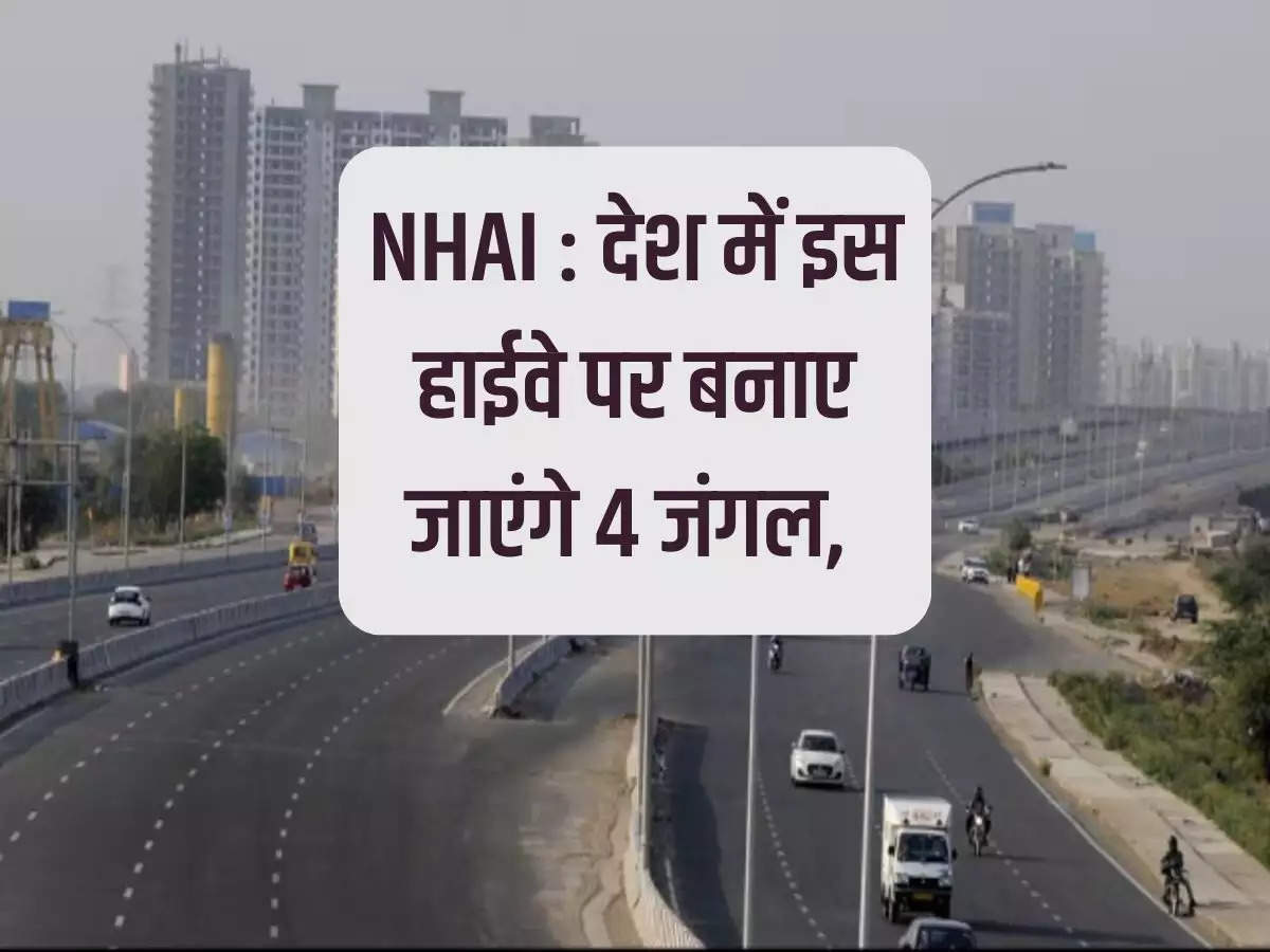 NHAI: 4 forests will be built on this highway in the country, this project is being built at an expense of Rs 9,000 crore.