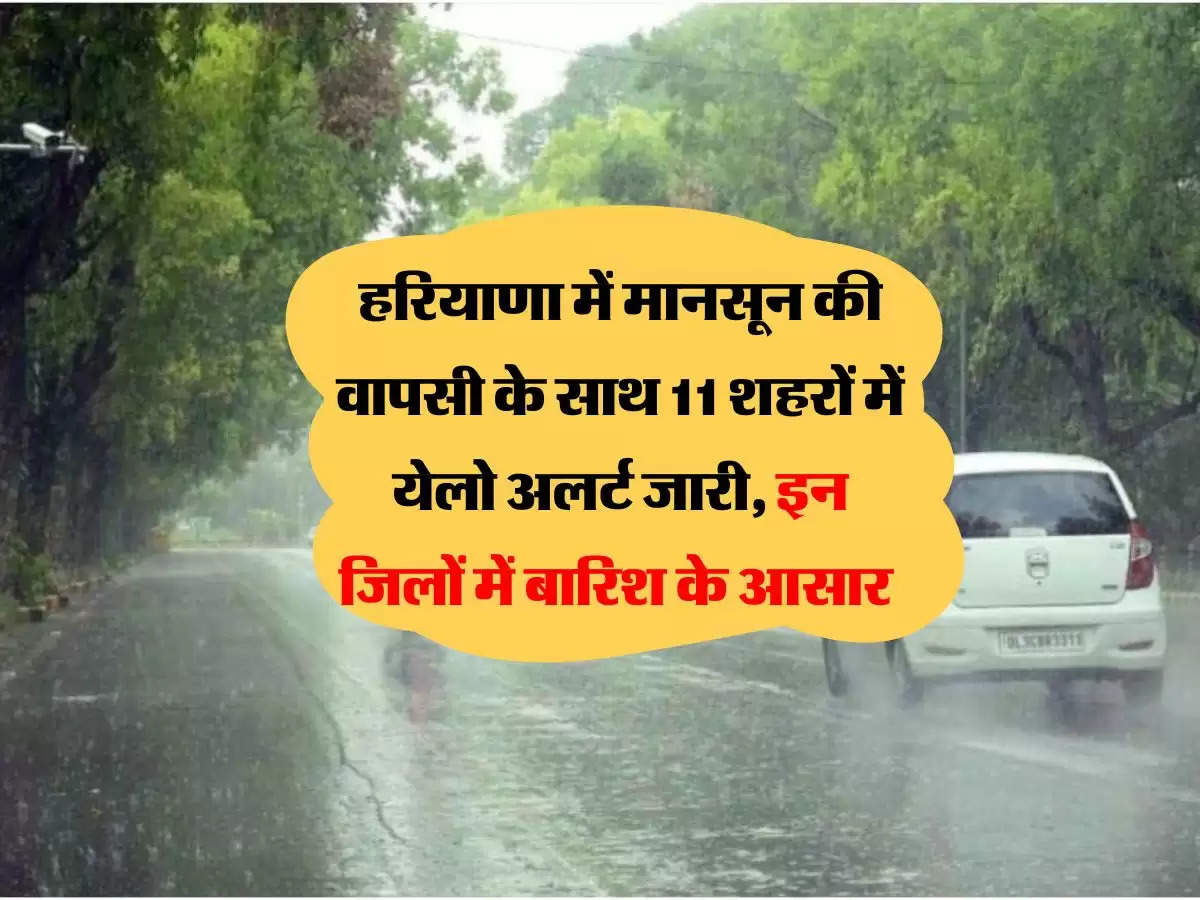 हरियाणा में मानसून की वापसी के साथ 11 शहरों में येलो अलर्ट जारी, इन जिलों में बारिश के आसार 