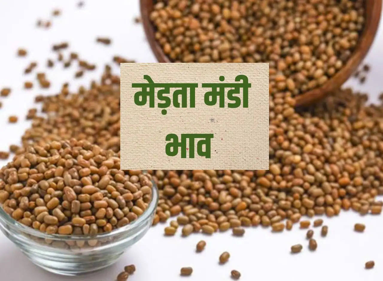 Merta Mandi Price 24 December 2023: Moong, gram, dill, fennel, cumin, guar, isabgol